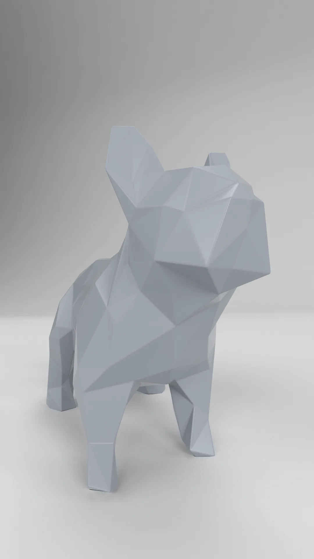 French bulldog