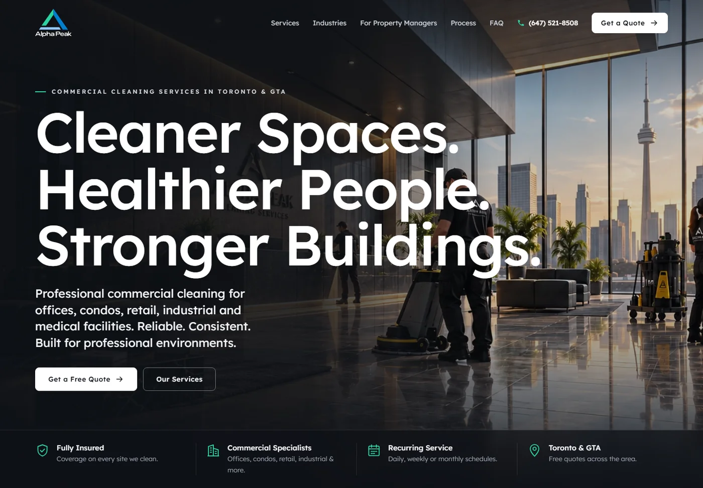 Alpha Peak Cleaning Services website, home page