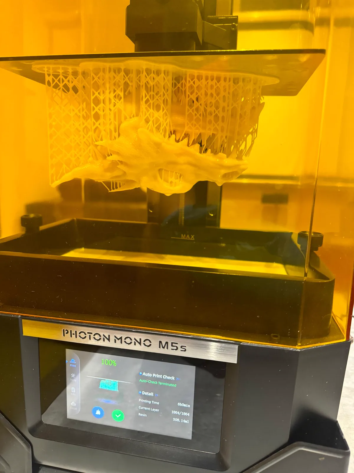 Dragon head inside the resin printer